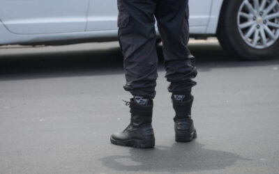 Brasil como laboratório da insurreição fascista – II