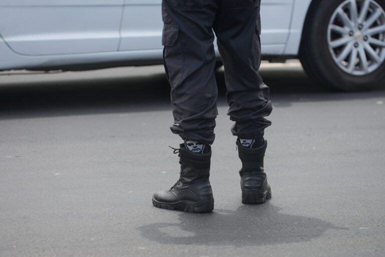 Brasil como laboratório da insurreição fascista – II